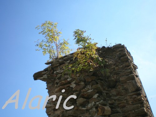 Zub času