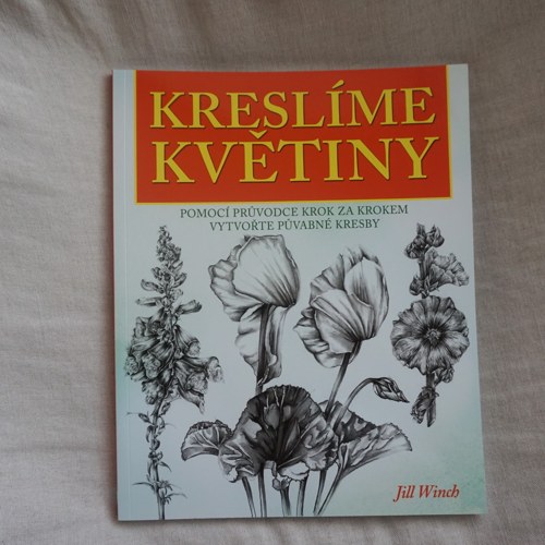 Kreslíme květiny — foto 1