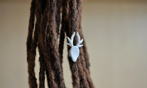 White antlers VII. — foto 1