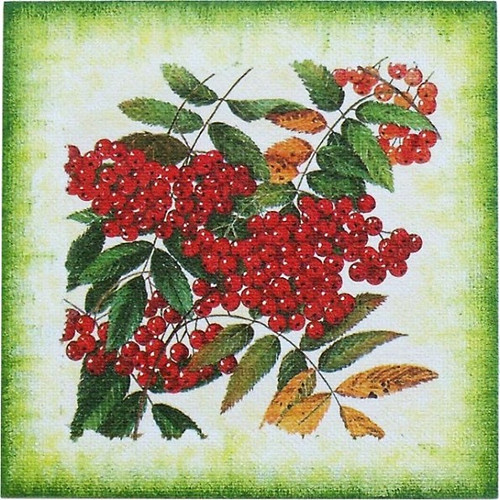 Obrázek 21x21: Rybíz