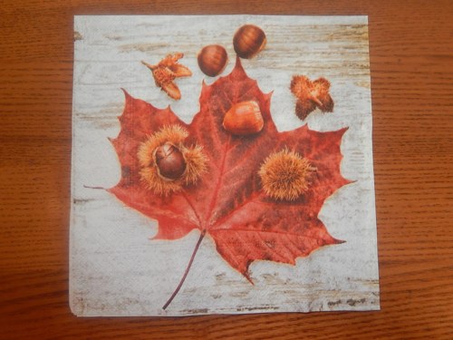 Ubrousek na decoupage - podzimní plody 1