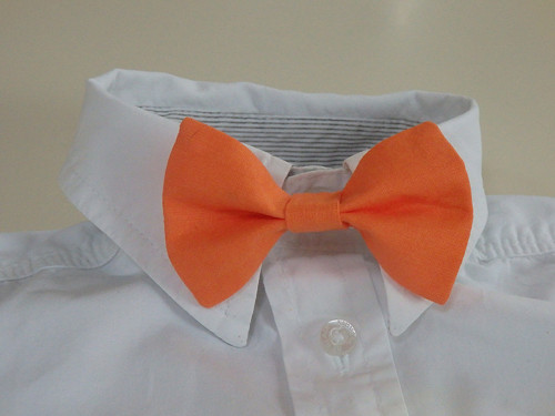 Oranžový motýlek — foto 1