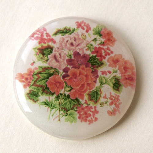 Pelargonie / 78 — foto 1