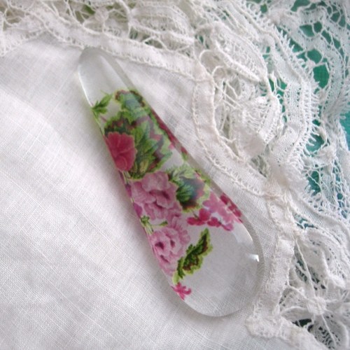 Pelargonie kapka / 79 — foto 1