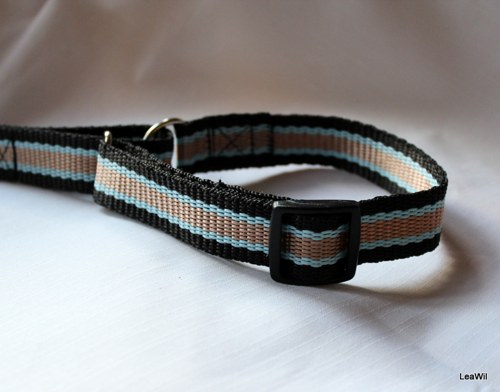 Agility vodítko popruh černo-modro-zlaté