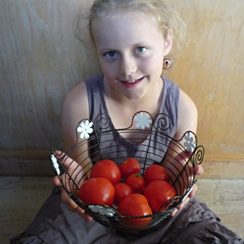 Miska bíle kvetoucí — foto 1