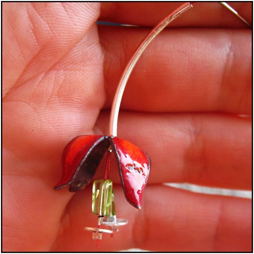 Tulipán na krk — foto 1