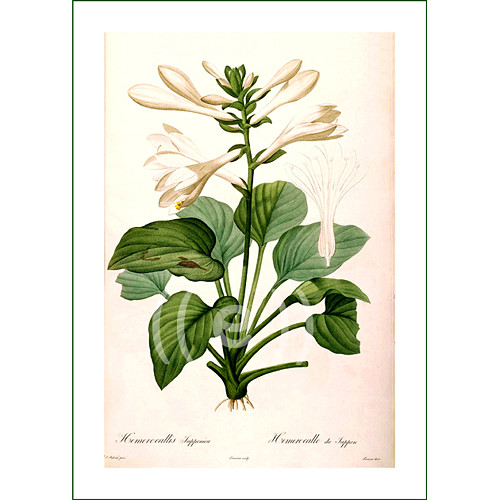 Látkový panel - rostlina (2)
