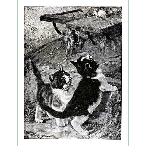 Koťata ČB - větší (látkový panel) — foto 1