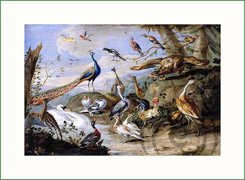 Látkový panel - Jan van Kessel the Elder (9) — foto 1