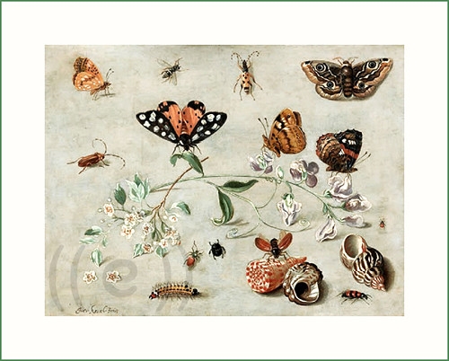 Látkový panel - Jan van Kessel the Elder (23) — foto 1