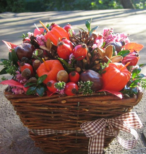 Všechny barvy podzimu 3 — foto 1
