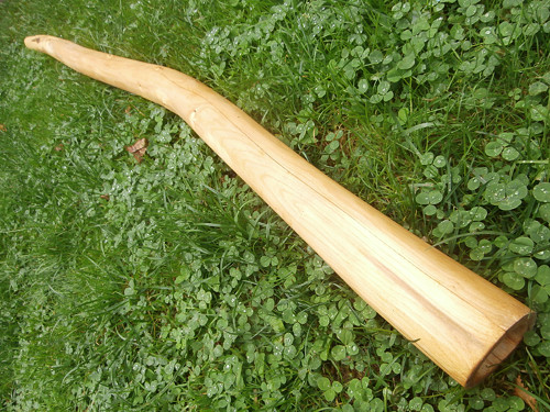 Didgeridoo - javor — foto 1