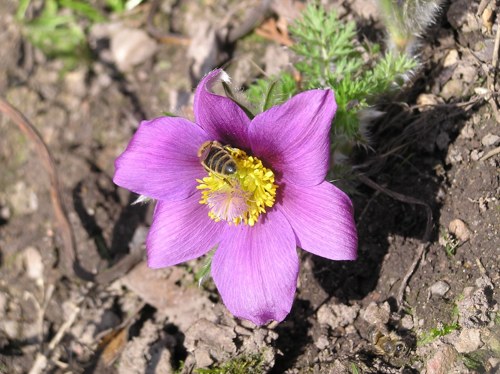 NA PŘÁNÍ - Ručně malované hodiny — foto 1