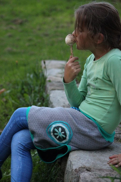 ... Šedivka ... — foto 1