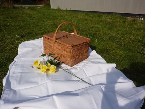 Piknikový koš — foto 1