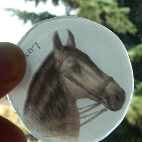 Koník / 195 — foto 1