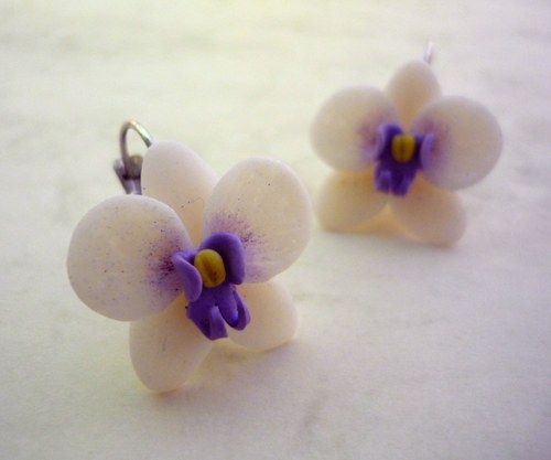 Orchidej — foto 1