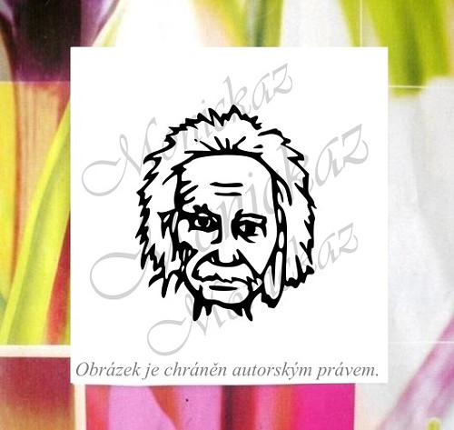 Einstein 50. Obrázkové razítko. — foto 1
