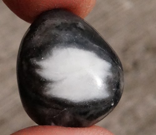 Mušlový kámen D893 — foto 1