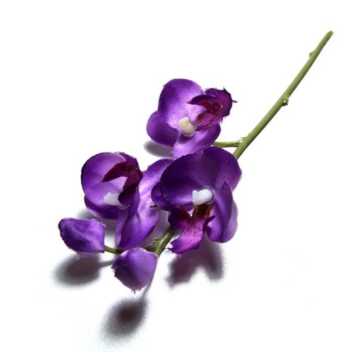 Orchidej fialová 18 cm — foto 1