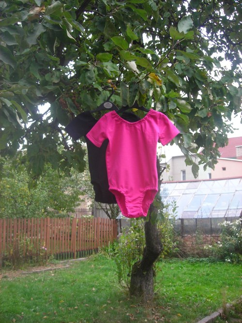 Dres krátký rukáv — foto 1
