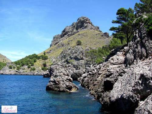 Skalnaté