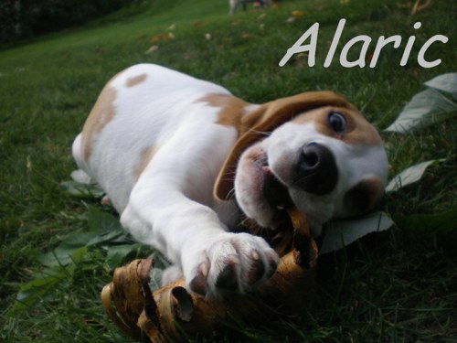 Opravdu, jen si masíruju dásně!