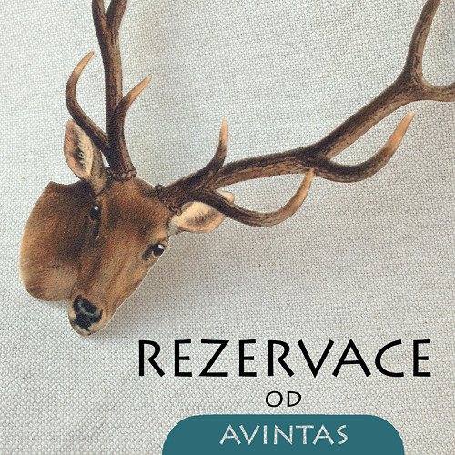 Rezervace - nažehlovačky — foto 1