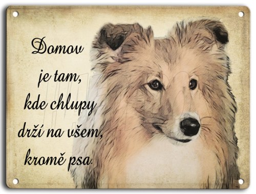 Šeltie- domov — foto 1