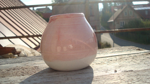 Růžová kalabasa — foto 1