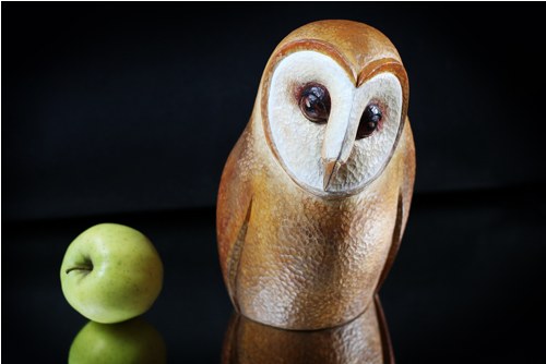 Tyto Alba no.2 — foto 1