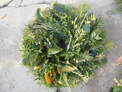 Jehličí, mahónie, buxus ...
