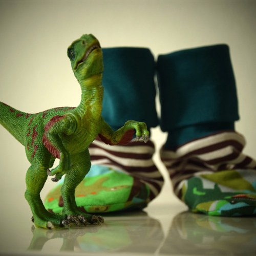 Capáčky s dinosaury — foto 1