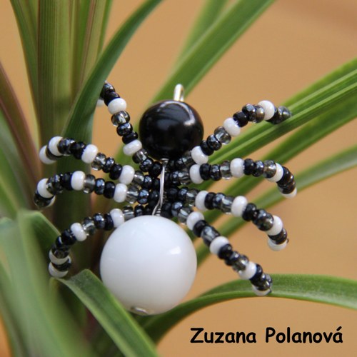 Pavouček bílo-černý I. — foto 1