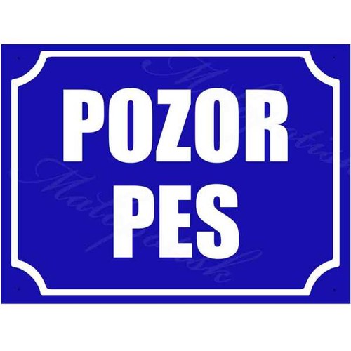 Cedulka POZOR PES - modrá vel. 20x15cm
