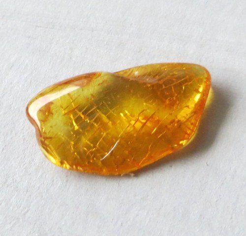 Přírodní Jantar - Litva č.018 — foto 1