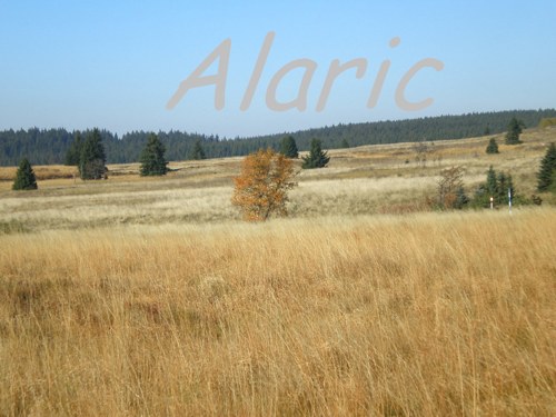Božídarské rašeliniště_9