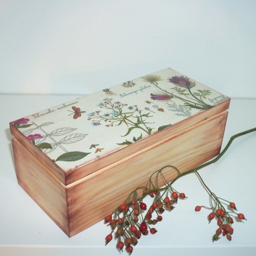 Čajovka botanická — foto 1