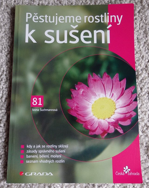 Pěstujeme rostliny k sušení — foto 1