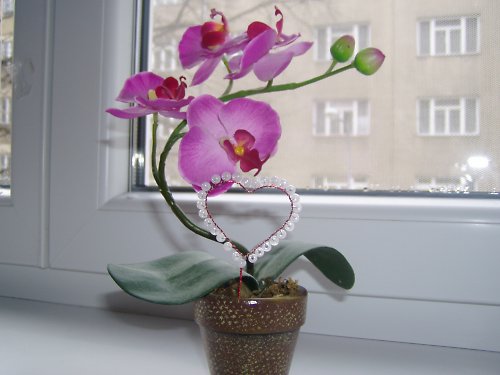 Něžné — foto 1