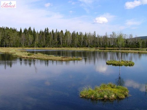 Chalupská slať