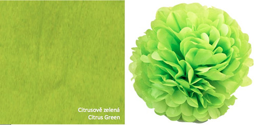 Citrusově zelený pompom 22cm — foto 1