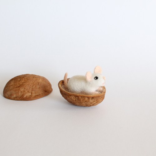 Mini myška ve skořápce — foto 1