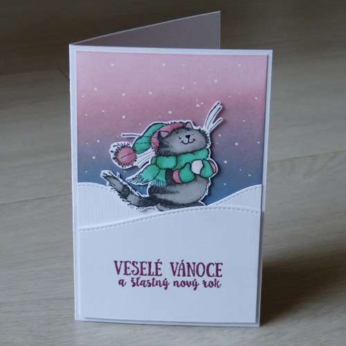 Vánoční přání - kočka — foto 1