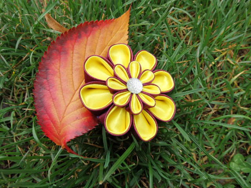 Brož Autumn