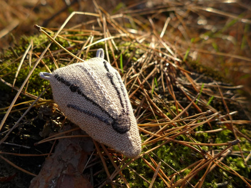 Z lesa/jezevec. — foto 1