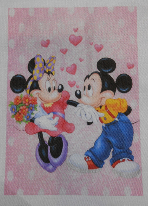 Mickey mouse - malý obrázek — foto 1
