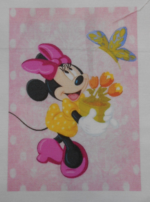 Mickey mouse -malý obrázek — foto 1