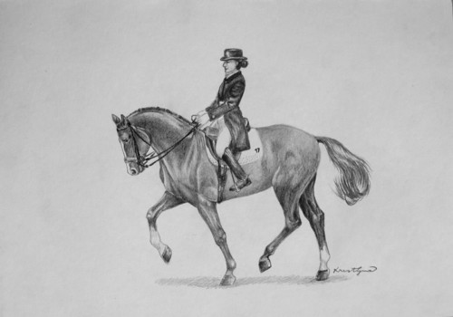 Discipline - Dressage — foto 1